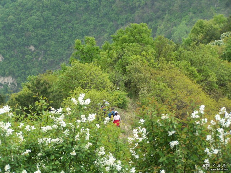 户县圭峰山风情