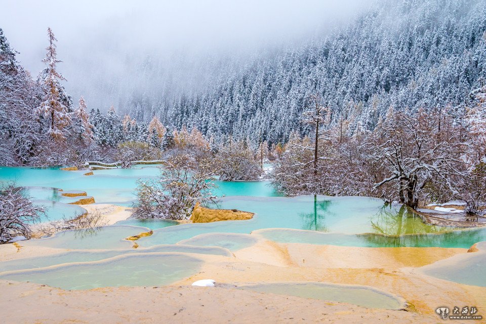 四川更喜岷山雪