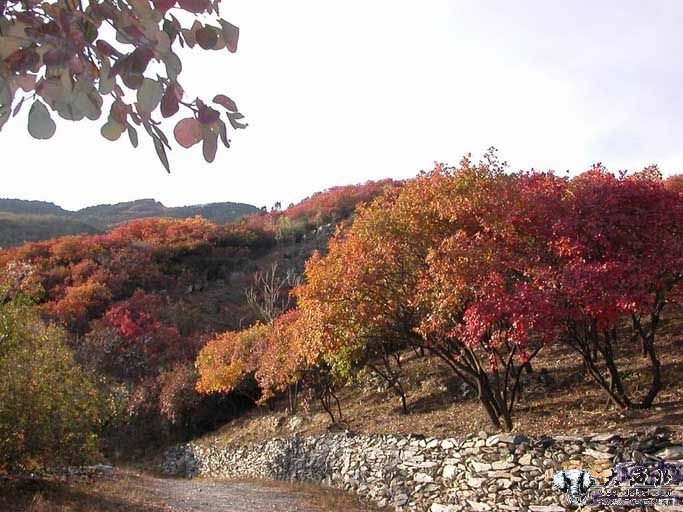 东濒滇池的昆明西山森林公园