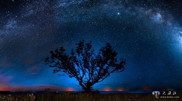 沼泽风情：星空璀璨魅惑动物慵懒惬意