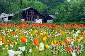 绝境逢生 赴日旅游美丽如初(图)