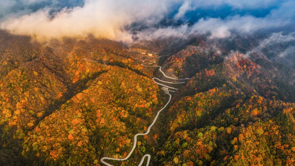 秦岭山区公路成天然画